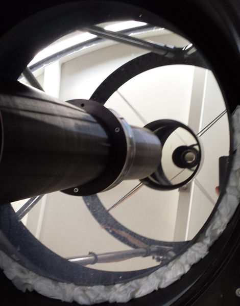 File:Ulmt primary cleaning.jpg